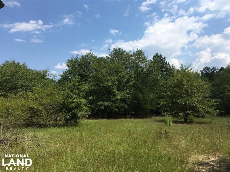 Hunting Land and Homesite with Pond : Ruby : Chesterfield County : South Carolina