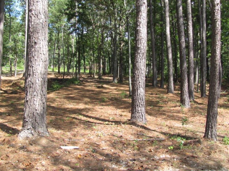 Private Gated Community Indian Lake, Farm for Sale in Tennessee