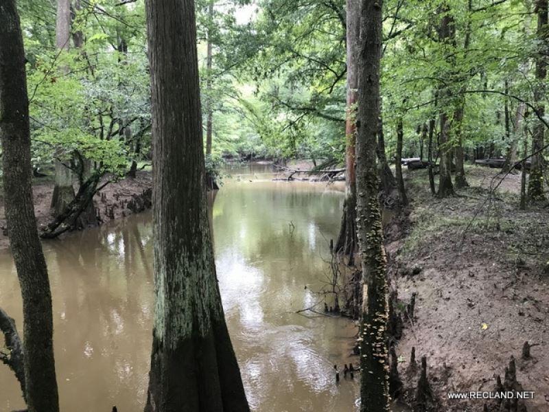 96 Ac - Secluded Rural Home Site &a : Calhoun : Ouachita Parish : Louisiana