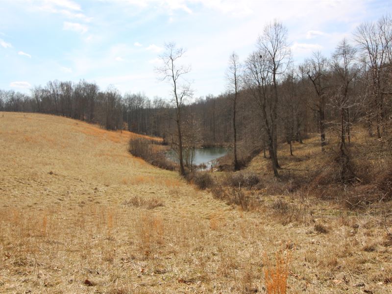 Sargent Rd - 257 Acres : Canaan : Athens County : Ohio
