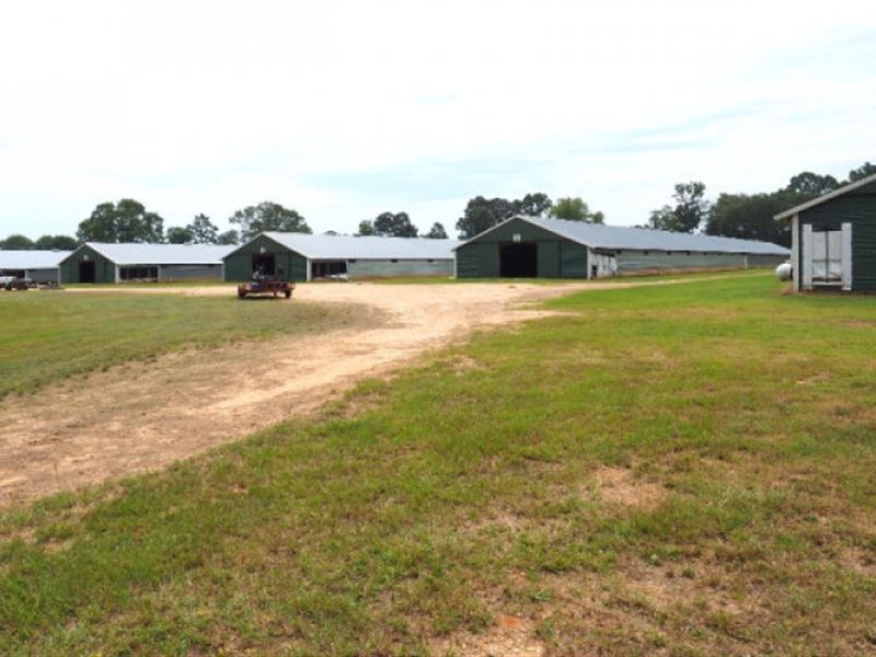 Poultry Farm 73 Acres Pasture Land Farm For Sale In Mount Olive Smith County Mississippi 130756 Farmflip