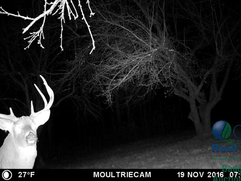 Remarkable Deer Hunting Camp : La Farge : Vernon County : Wisconsin