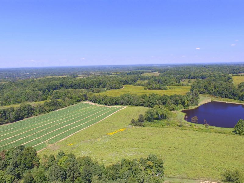Quail Hollow Farm, Farm for Sale in Tennessee, 131098 FARMFLIP