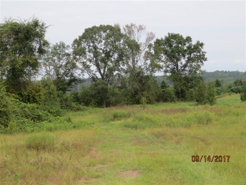 Rural Home Site with Pastures : Clanton : Chilton County : Alabama