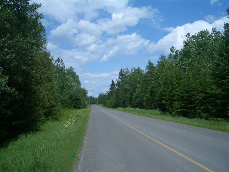 24 Acres in Winterville, ME, Farm for Sale by Owner in Maine, 131270