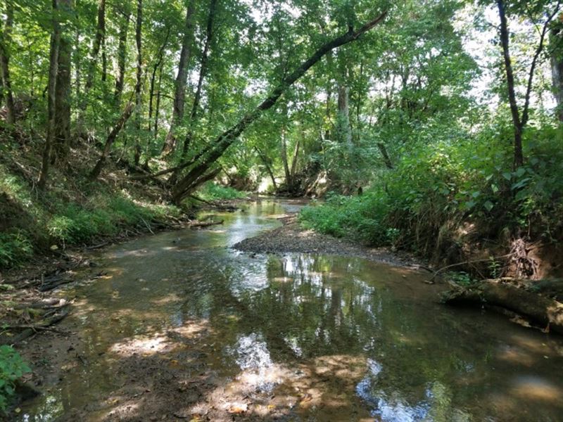 311 Acres & 8 Acres in Tennessee : Newport : Blount County : Tennessee