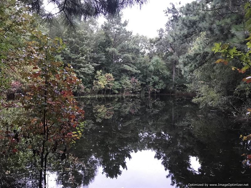 Sweet 16 Acres : Wesson : Copiah County : Mississippi