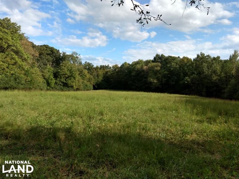 Producing Farm for Sale in North Carolina