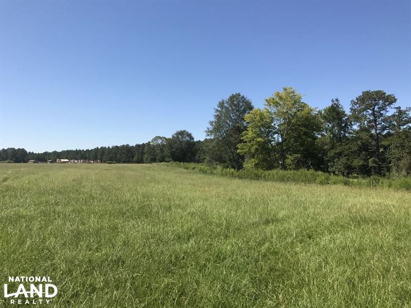 Buckatunna Creek Cattle Farm, Farm for Sale in Mississippi, 131424 FARMFLIP