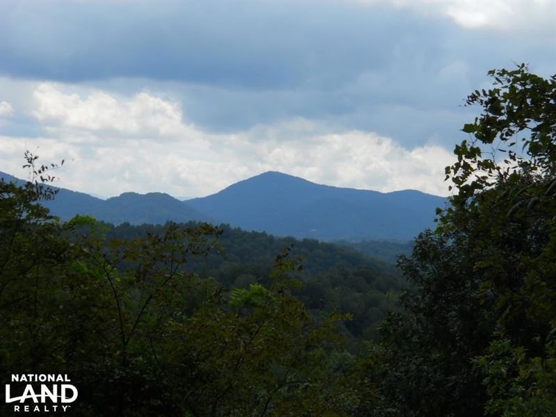 Mountain Hunting and Fly Fishing : Bakersville : Mitchell County : North Carolina