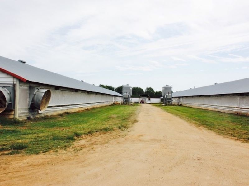 Poultry Farm 4 Houses Breeder 44 Ac, Farm for Sale in Mississippi