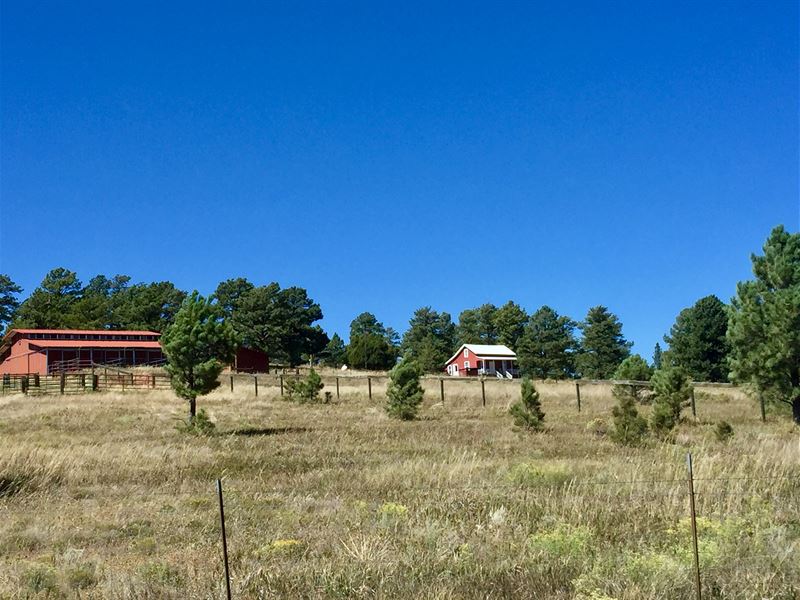 Tolley Ranch Freese Road Unit, Farm for Sale in Colorado, 131597