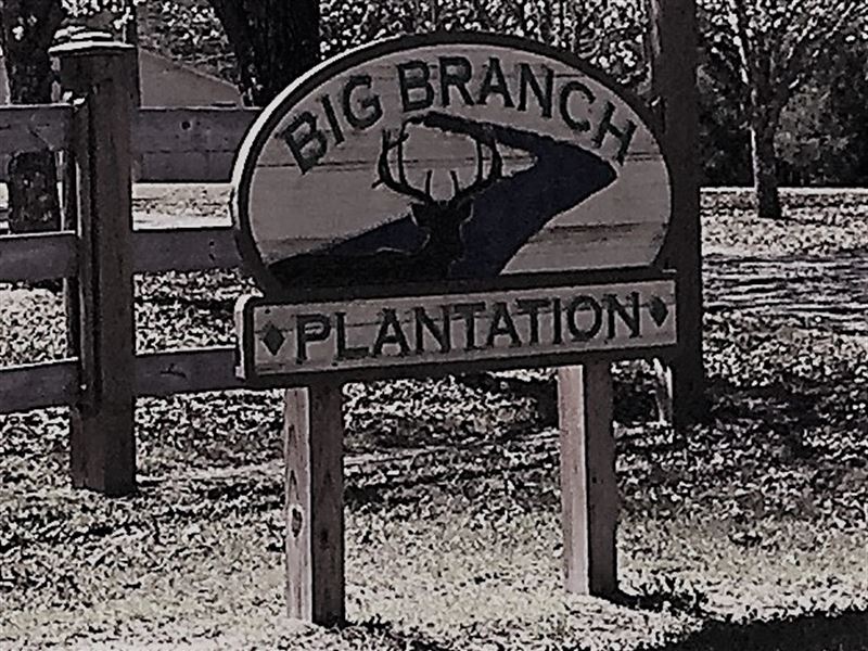 Big Branch Plantation : Jeffersonville : Twiggs County : Georgia