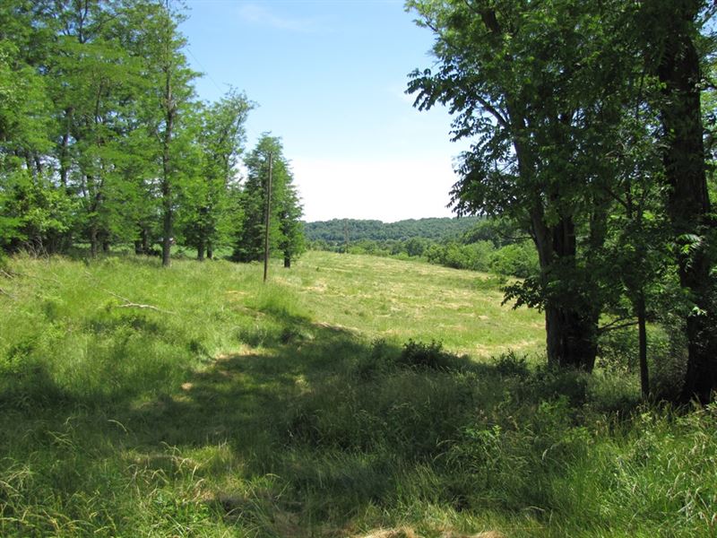 Wooded Parcel with Creek : Platteville : Grant County : Wisconsin