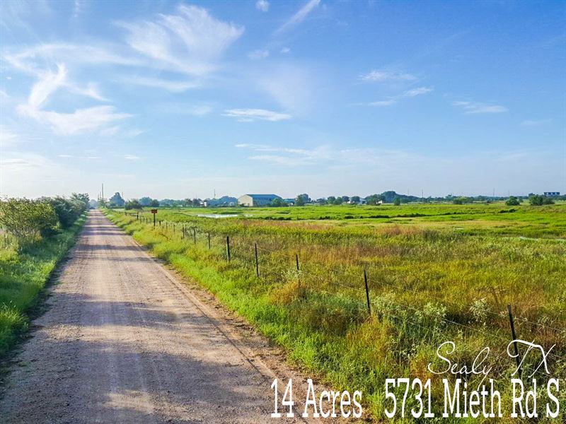 14 Acres in Austin County : Sealy : Austin County : Texas