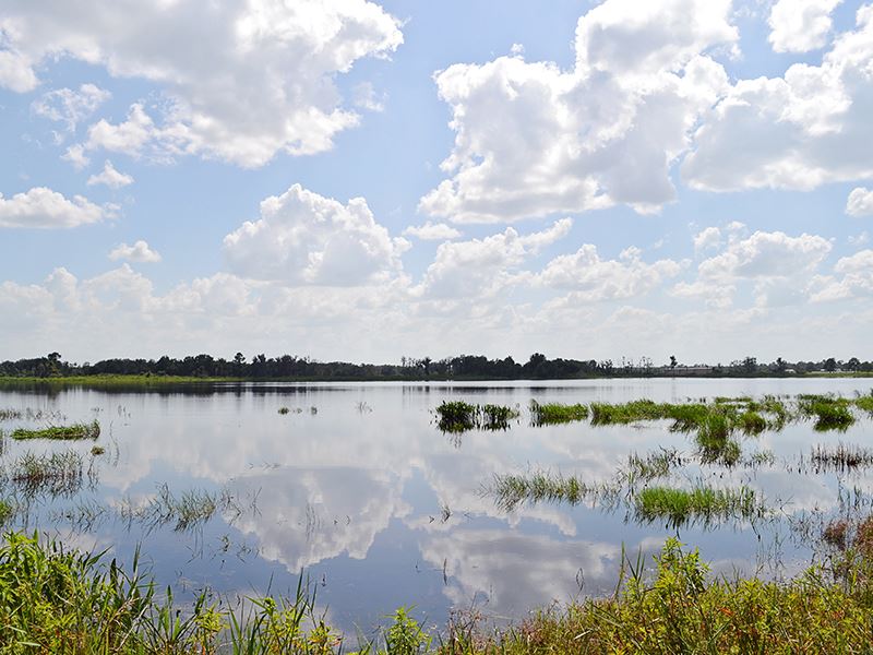 Lake Buffum Shores, Farm for Sale in Florida, 131877 FARMFLIP