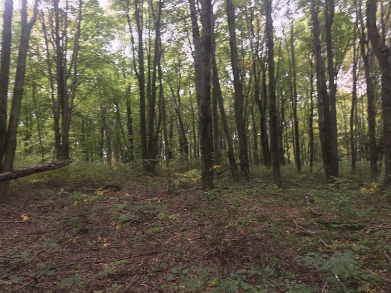 Crawmer Rd - 28 Acres : Newark : Licking County : Ohio