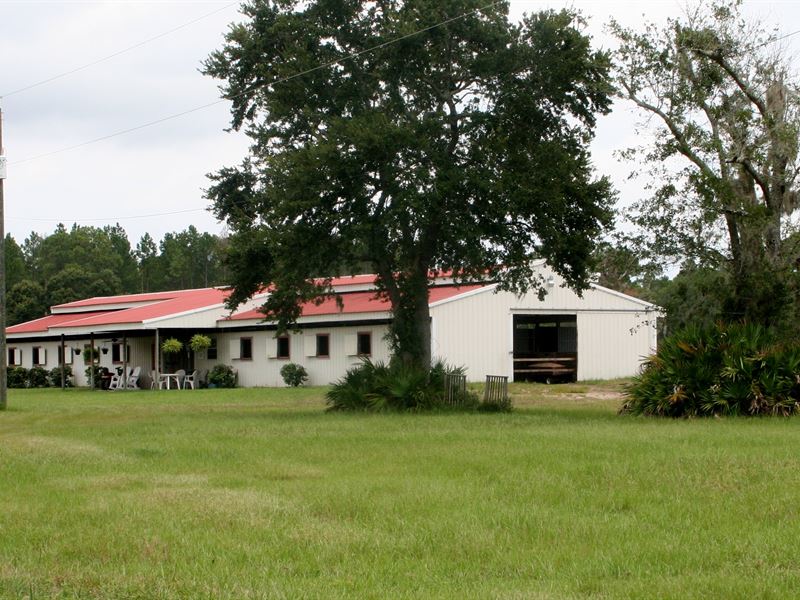 40.45 Acre Horse Farm Farm for Sale in Fernandina Beach, Nassau