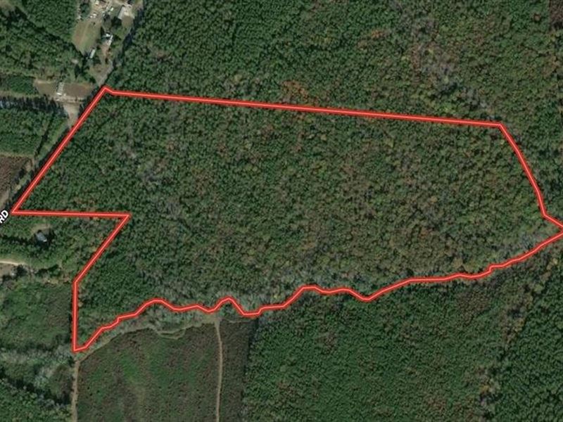 87 Acres of Huntin : Macon : Warren County : North Carolina
