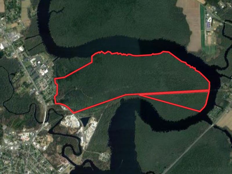 Reduced, 611 Ac Riverfront Hunting : Elizabeth City : Pasquotank County : North Carolina