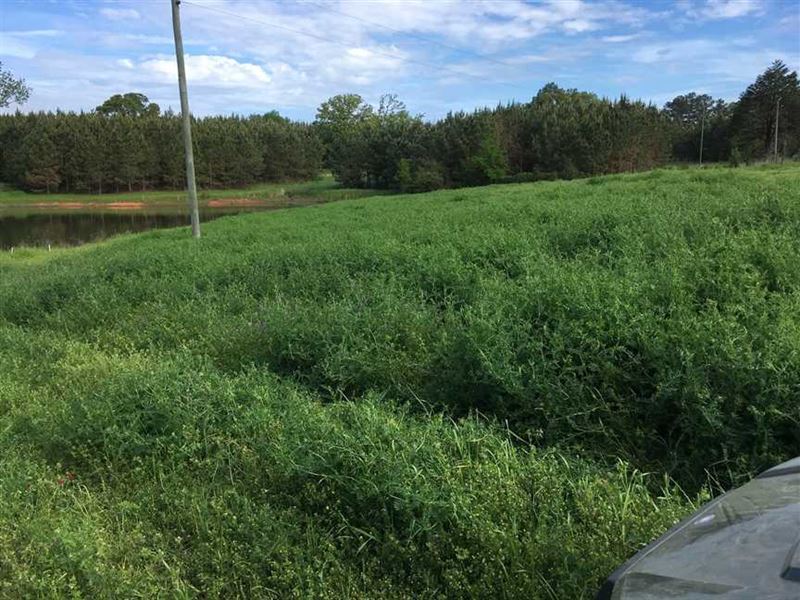 This.122 Acre Timber And/Or : Carthage : Leake County : Mississippi