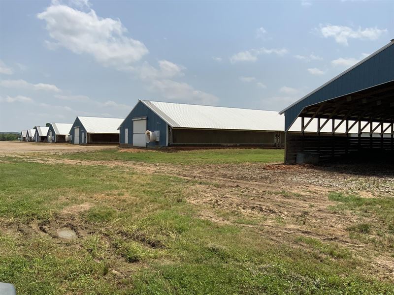 6 House, Built in 2017, Omp, 113 : Evening Shade : Sharp County : Arkansas
