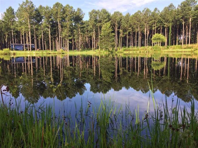 39 Acre Hunting, Recreational And : Carthage : Leake County : Mississippi