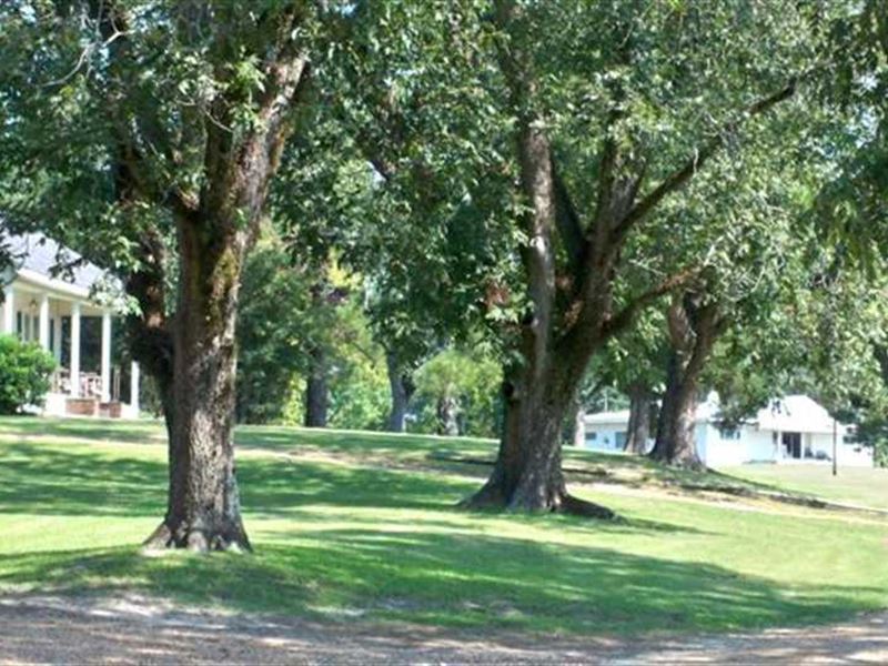 Brookson Farms, 6395 Acres : Macon : Noxubee County : Mississippi