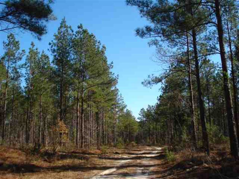 Land for Sale 249 Acres in Bur, Farm for Sale in 132194