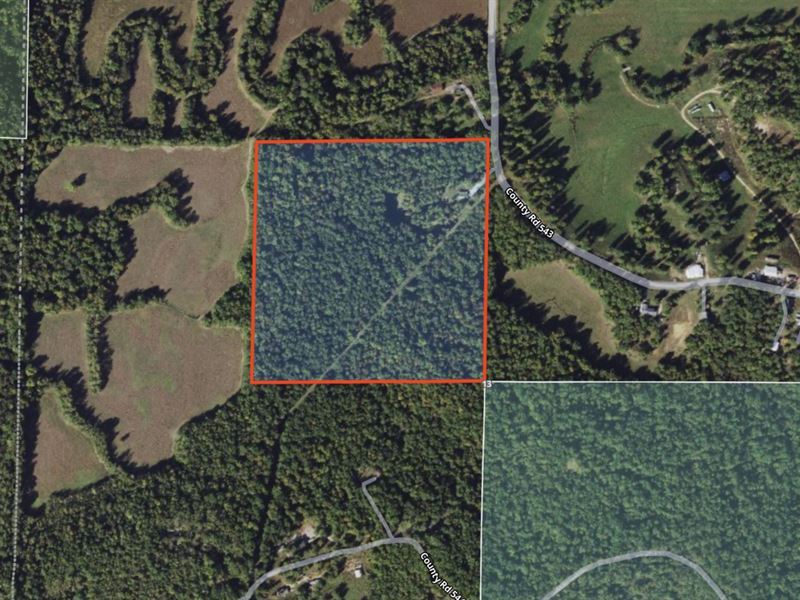 Home on 40 Acres for Sale in Butler : Poplar Bluff : Butler County : Missouri