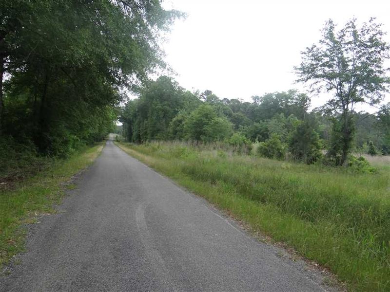 Post Office Tract, Bienville Paris, Farm for Sale in Louisiana, 132300