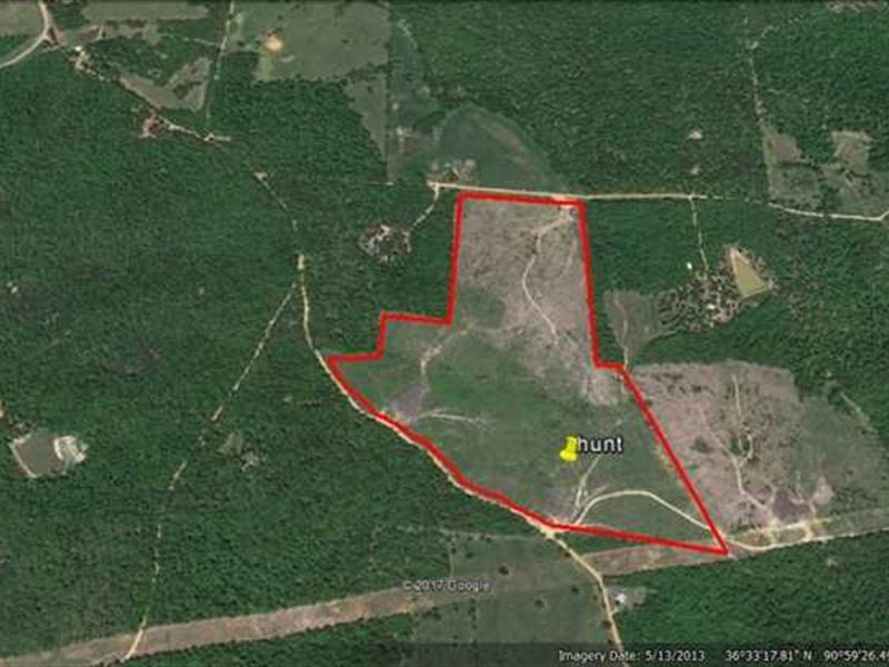 105 Acres for Sale in Ripley Count : Doniphan : Ripley County : Missouri