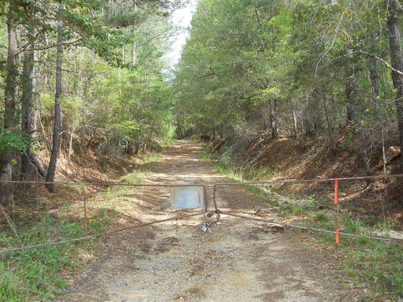 46.06 Acres Bonner Family Tract : Quitman : Clarke County : Mississippi