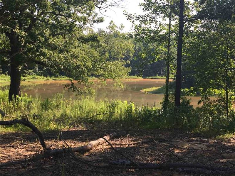 Well Priced Hunting Land For Sale : Farm for Sale in Memphis, Shelby County, Tennessee : #132737 ...