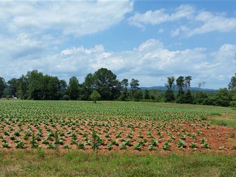 499 Acres in Yadkin County Sherri, Farm for Sale in North Carolina