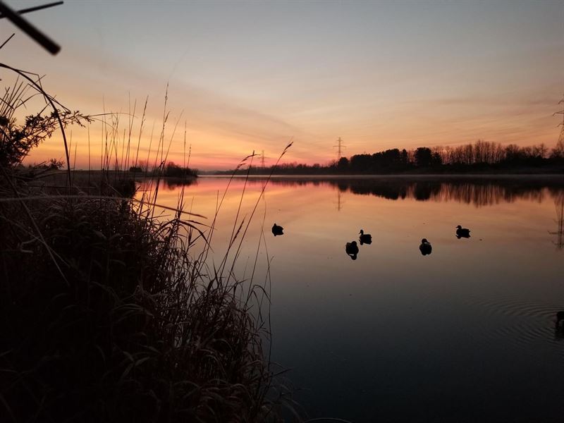 Universal Bucks and Ducks : Clinton : Vermillion County : Indiana