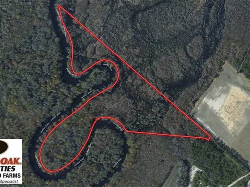 17.3 Acres of Recreational and Hun, Farm for Sale in North Carolina