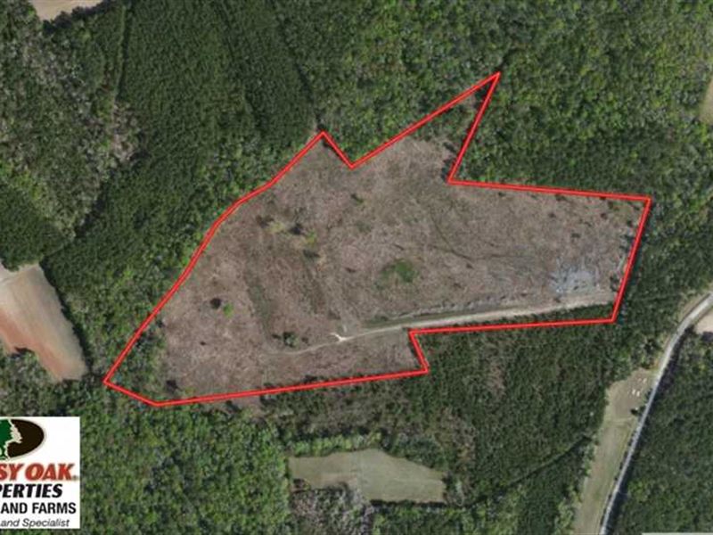 Reduced, 34 Acres of Timber, Farm for Sale in North Carolina, 132962