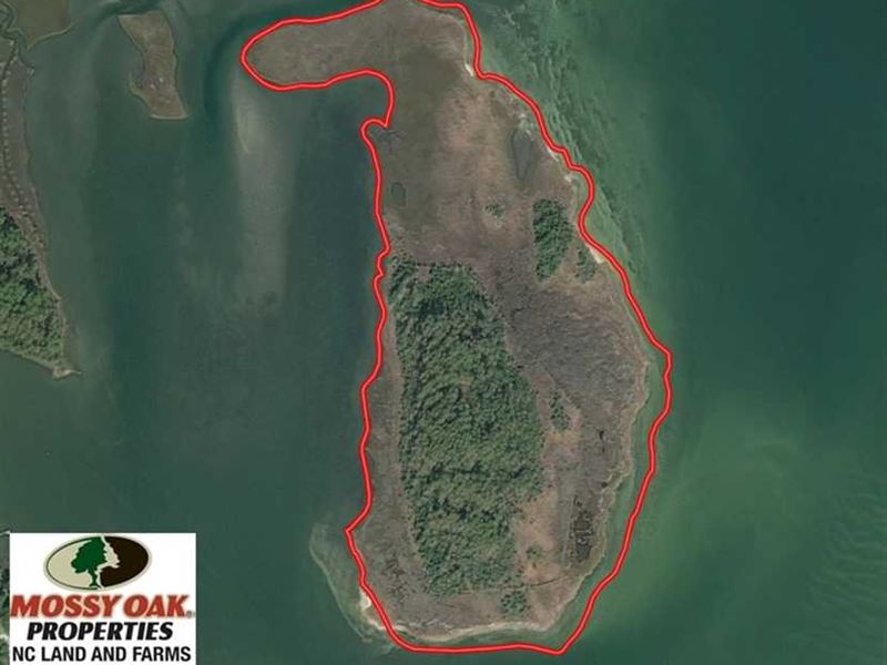 62 Acre Private Island for Sale in : Marshallberg : Carteret County : North Carolina