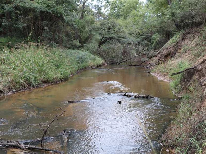 Sabine River Preserve, Hunting Tr : Big Sandy : Upshur County : Texas