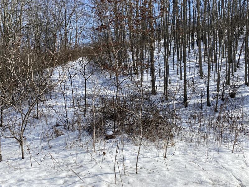 Golden Oaks Rd, New Freeport, 71 : New Freeport : Greene County : Pennsylvania