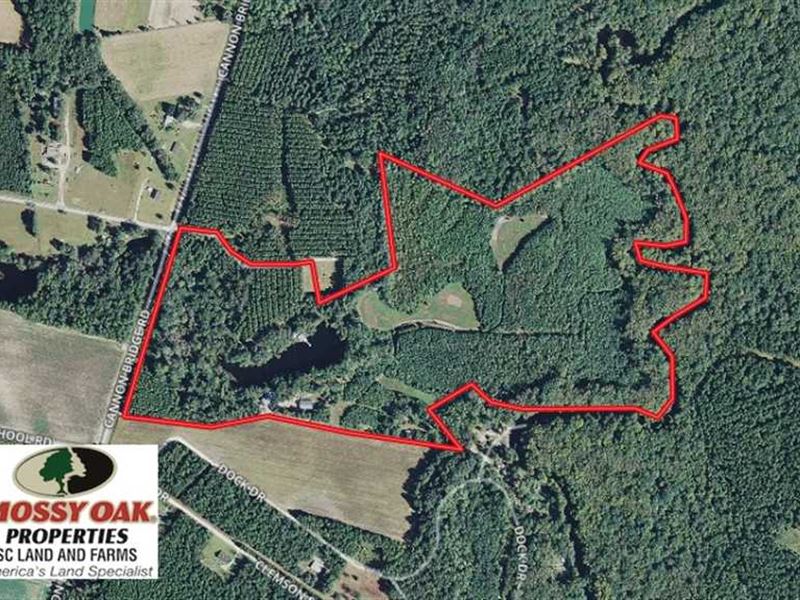 87 Acres of Land on The Edisto Riv : Cordova : Orangeburg County : South Carolina