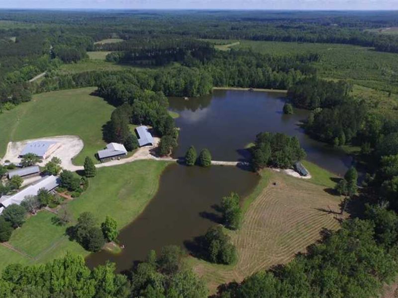 Lodge, Houses, Lakes, 669 Acres, Farm for Sale in Alabama, 133096