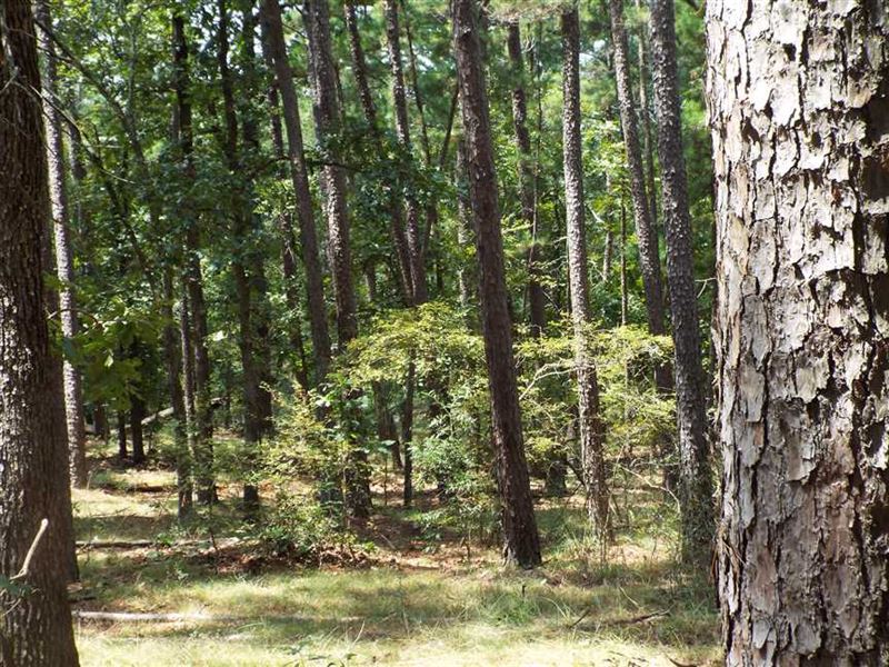 Original Native American Land / TI Farm for Sale in Wright City, McCurtain County, Oklahoma