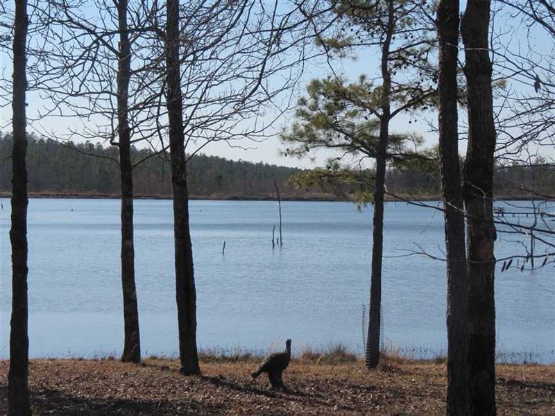 Back ON Market, Hunting Hav : Valliant : McCurtain County : Oklahoma