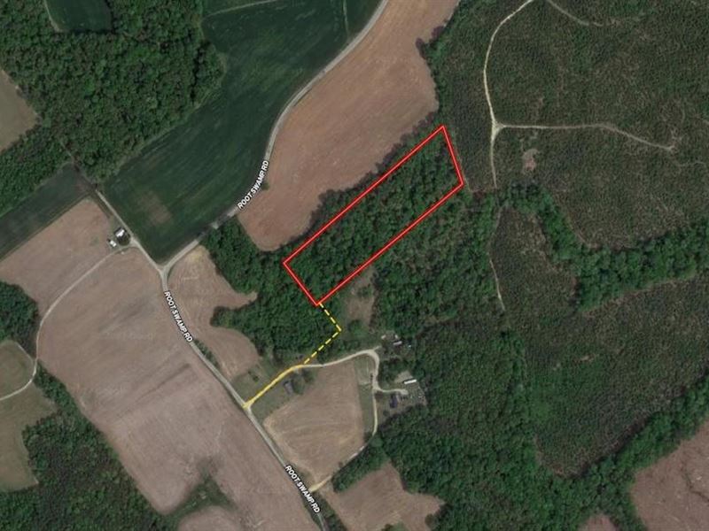 6.45 Acres of Hun : Milford : King And Queen County : Virginia