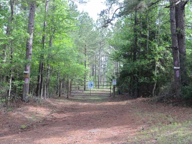 39.2 Acres with Timber, Wildlife : Mount Enterprise : Rusk County : Texas