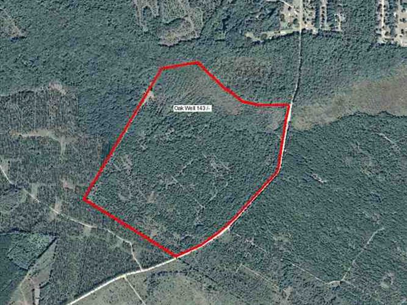 143 Acres Land for Sale in Camd : Kingsland : Camden County : Georgia