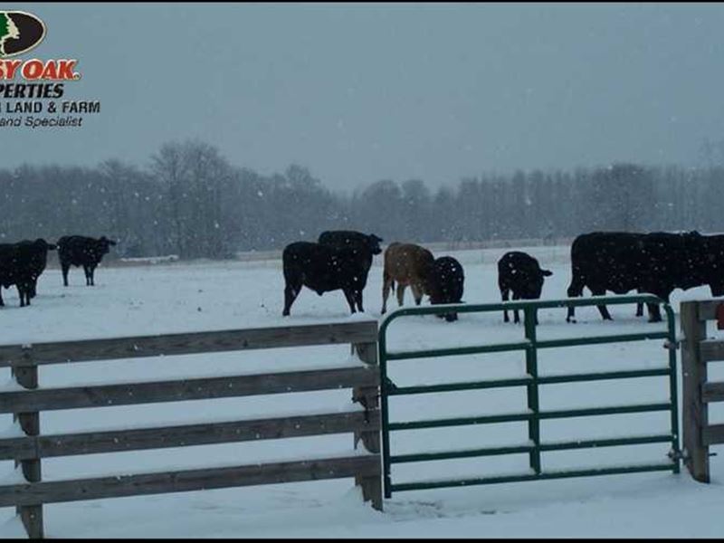 For Sale 90 Acres of Pasture, Farm for Sale in Arkansas, 133531 FARMFLIP