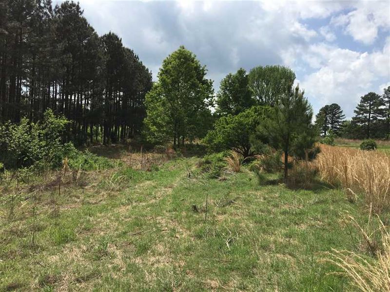 40 Faulkner County on Batesville : Guy : Faulkner County : Arkansas